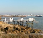 logement meublé Saujon 